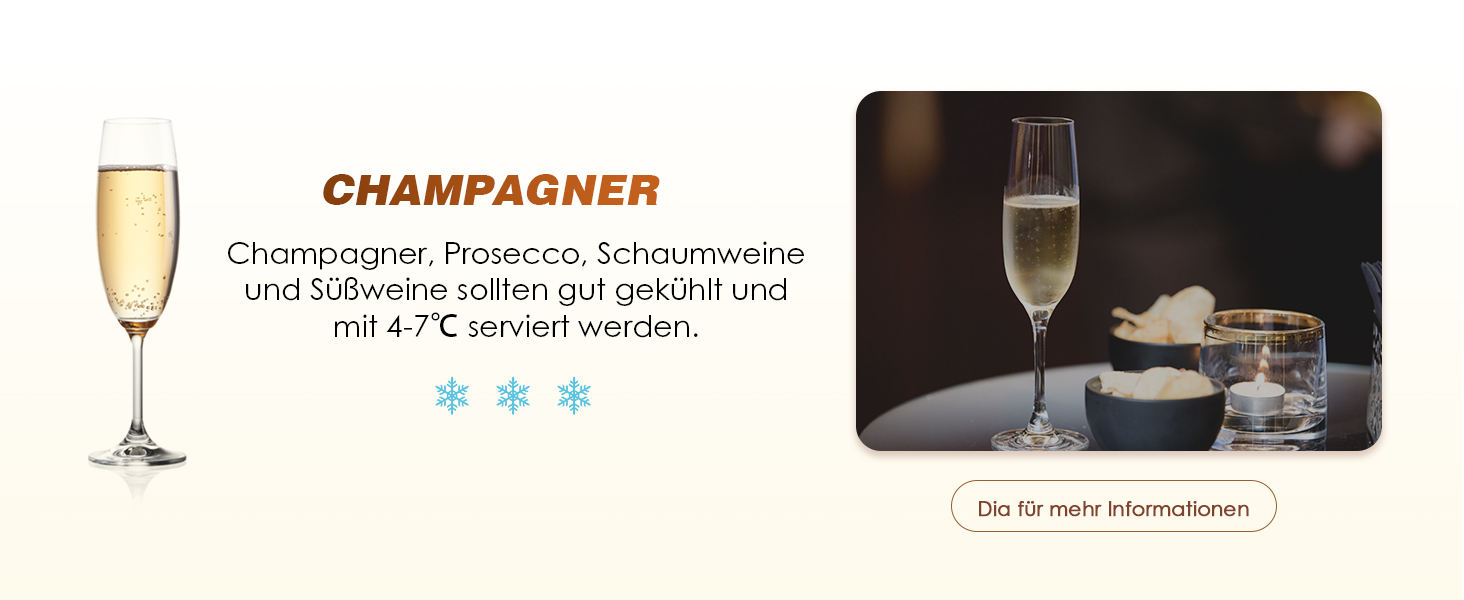 NEWTRY Електричний охолоджувач вина, для 750мл пляшок, з кабелем, для дегустацій при низькій температурі