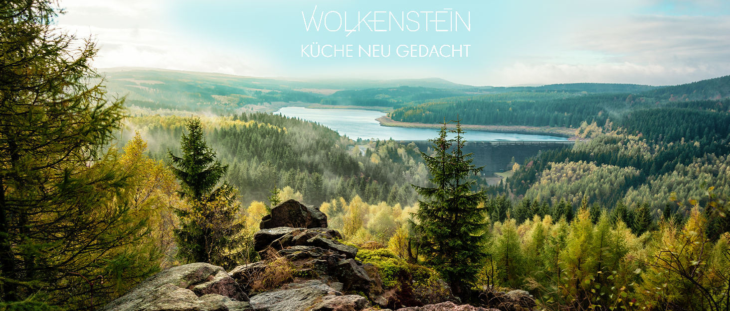 Плита-гриль WOLKENSTEIN Plancha з чавуну для індукції, GP1W