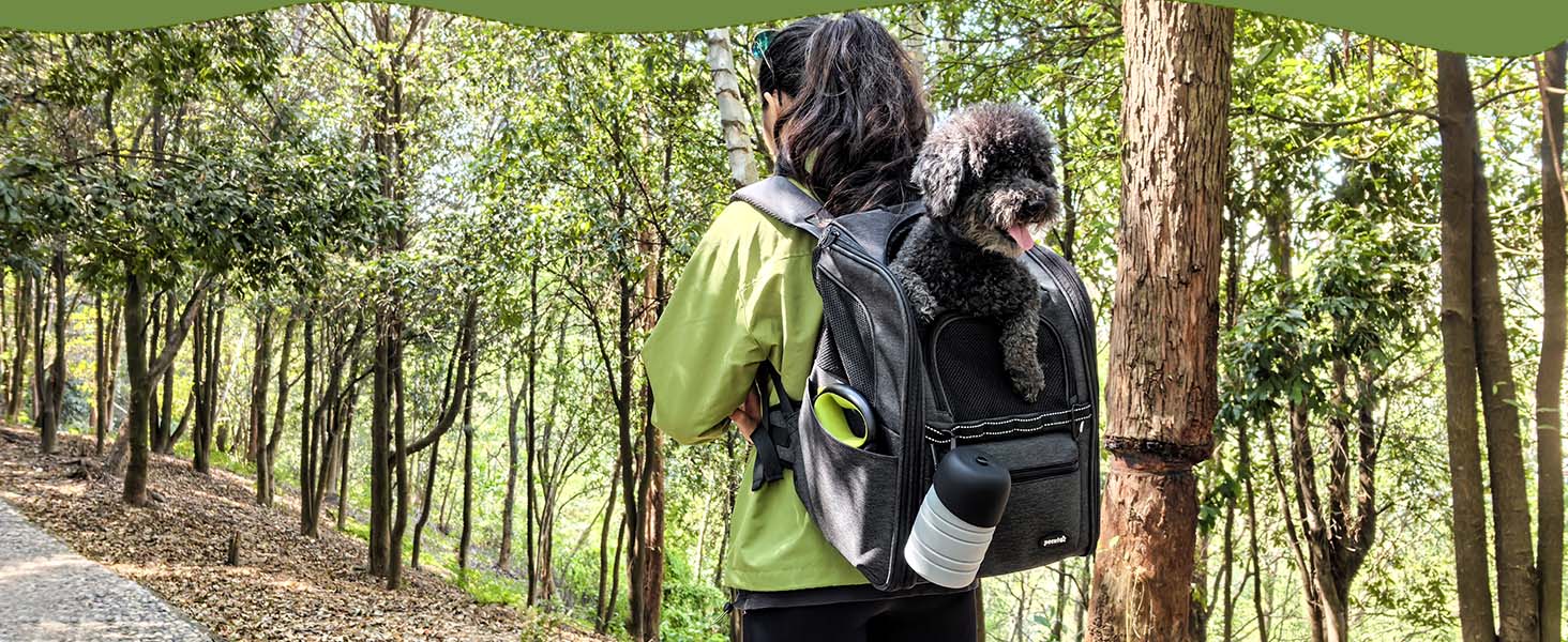 Рюкзак для кота та собаки Pecute, до 6 кг, дихаючий, складний, легкий, для подорожей