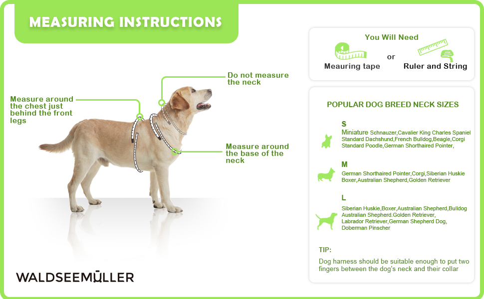 Нашийник для собак No-Pull, для малих та середніх порід - м'який, дихаючий, регульований, світловідбиваючий, анти-тяга з м'яким ручним захопленням, світло-зелений