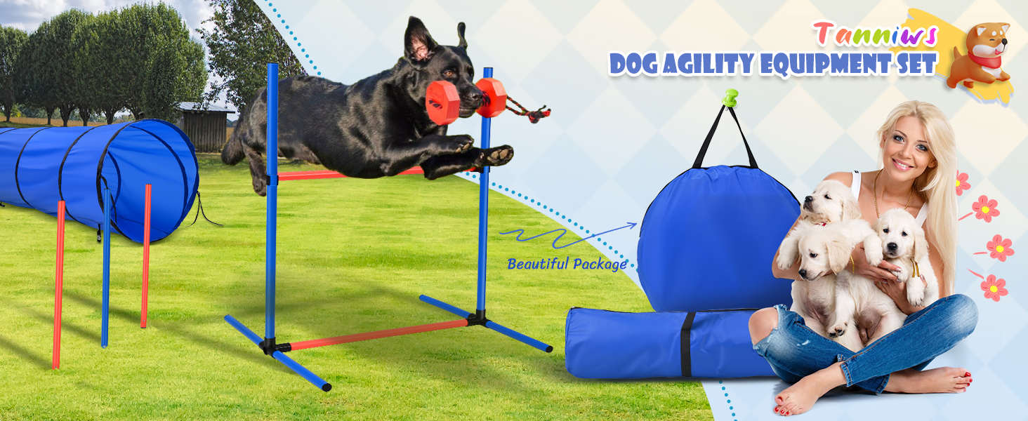 Набір для аджиліті для собак 70 елементів: 8 шлагбаумів, стрибкова петля, м'яч, ящик для перерви, сумка для ласощів, переносна сумка. Розвиває інтелект.