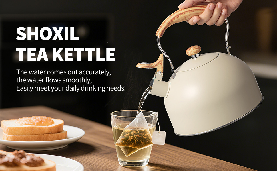 Чайник Teekessel 2.7л з дерев'яною ручкою, гучний свисток, нержавіюча сталь, антикорозійний, для всіх плит (2.5л)