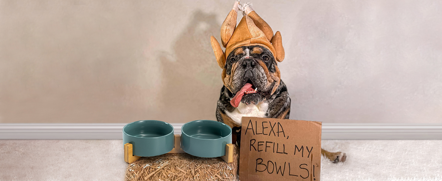 Набір мисок для котів та собак SPUNKYJUNKY з бамбукового підставки (400мл, Бежевий)