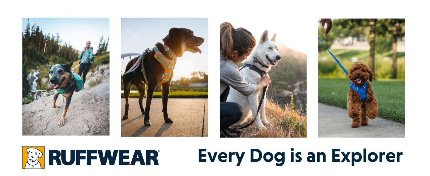 Шлейка для собак Ruffwear Front Range, регульована, з відбиваючими елементами, комфортна, для прогулянок та бігу, 2 точки кріплення, Spring Mountains M