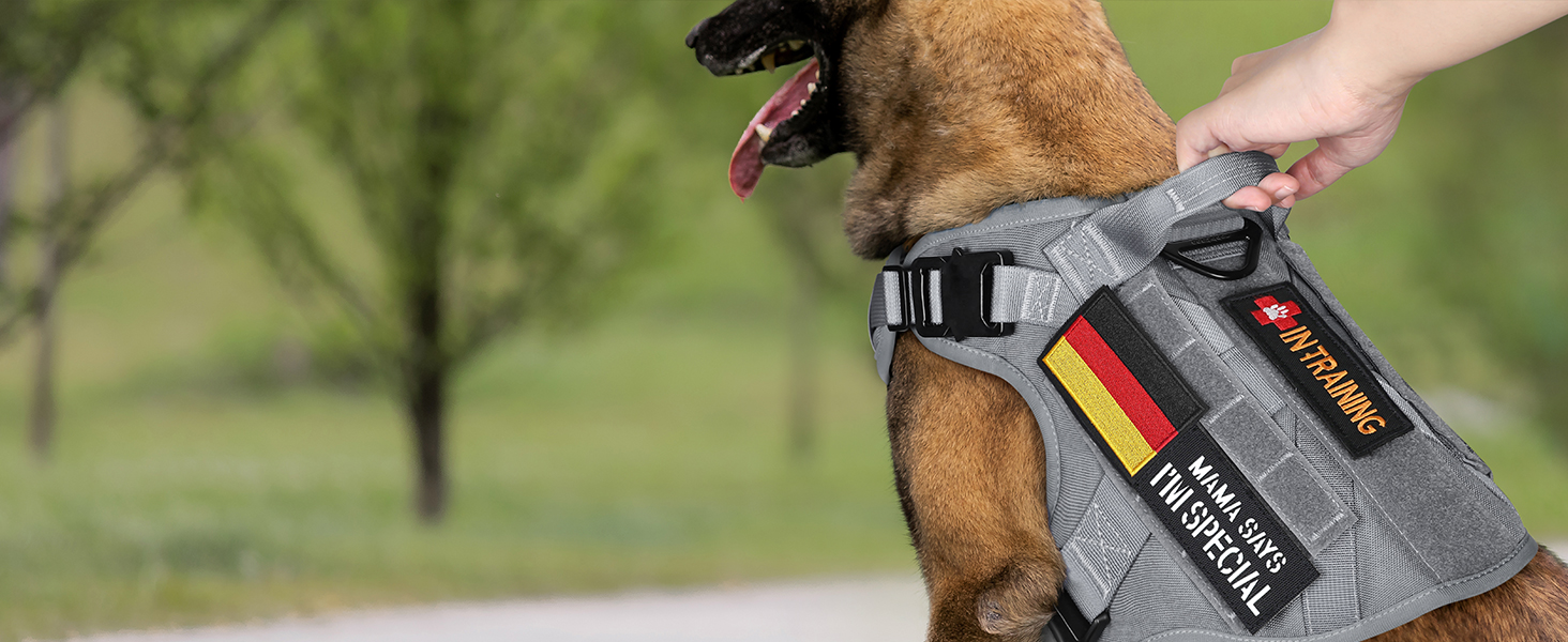 Шлейка для собак Rabbitgoo для великих собак без натягу, тактична, з MOLLE, металеві пряжки, дихаюча, військова, регульована, з підкладкою, L (1 шт., сіра)