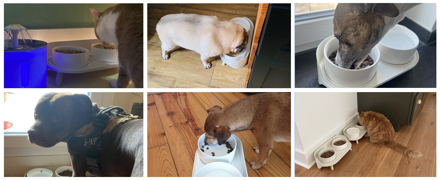 Керамічна миска для собак середніх та великих порід - важка, глибока миска для корму або води - 1800 мл - біла. Миски для собак великих порід