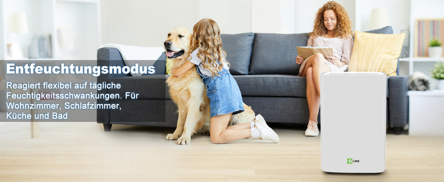 Електричний осушувач повітря 9л/24г, тихий, з дитячим замком та захистом від переливу, автоматичний перезапуск, для спальні, ванної, підвалу та пральні