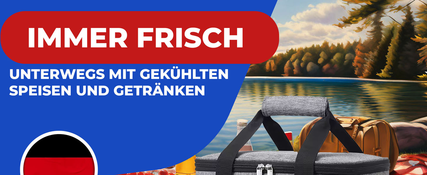 Сумка-холодильник NEMT 15L (сіра) з 2 акумуляторами холоду - для пікніків, обідів, подорожей та покупок