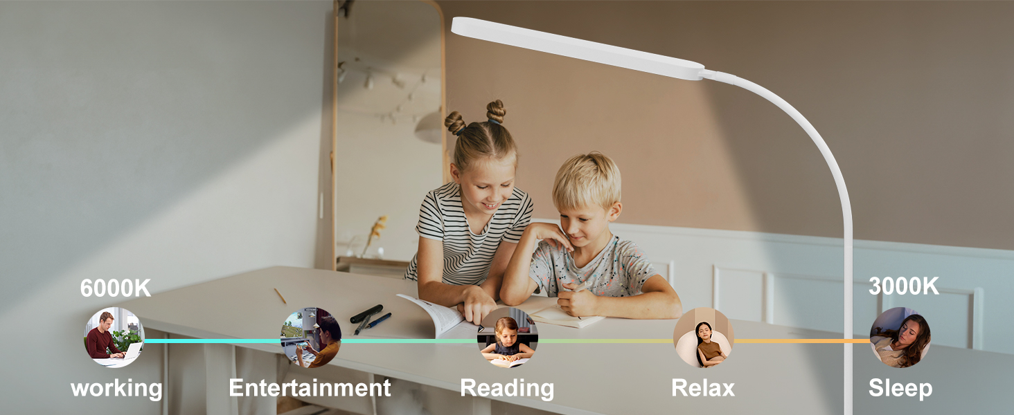 SKYLEO LED Desk Lamp with Adjustable Gooseneck - 80cm Height, 5 Color Modes, 11 Brightness Levels, Timer & Memory Function, 12W, Clamp-On Design