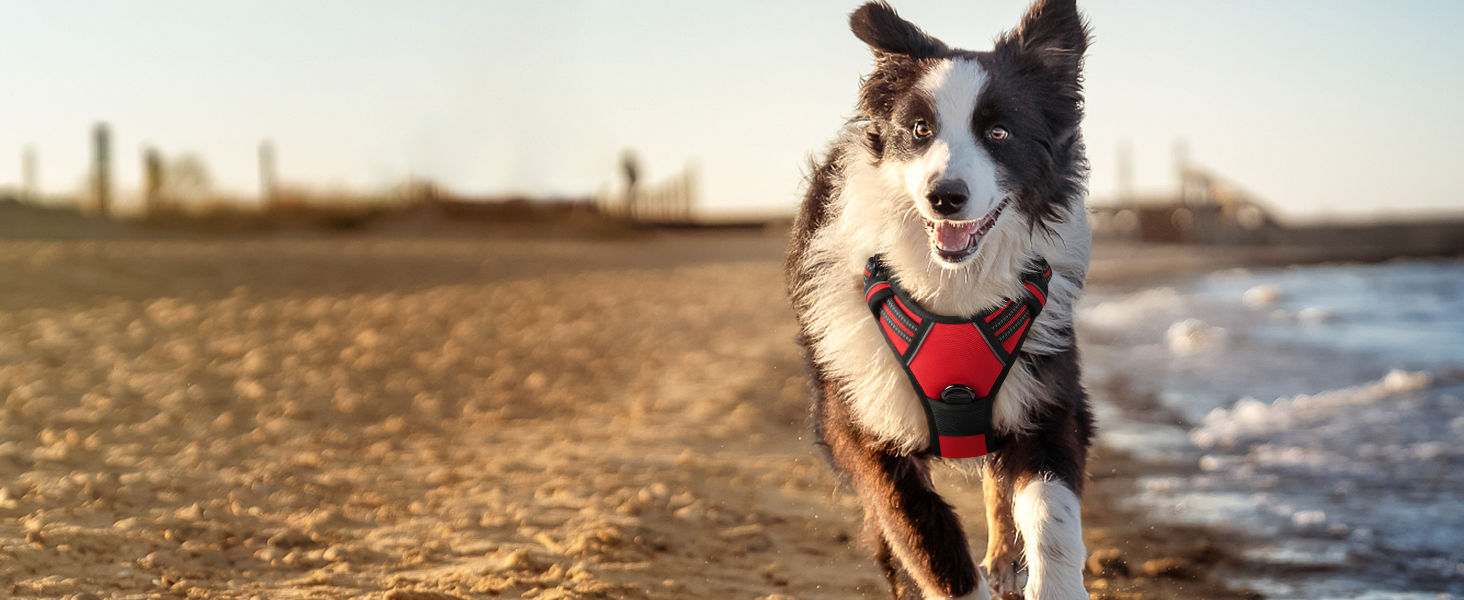Нагрудник для собак Rabbitgoo середнього розміру, анти-тяга, регульований, великі собаки, дихаючий, з світловідбиваючими смугами, безпечне ведення, червоний (1 шт.)