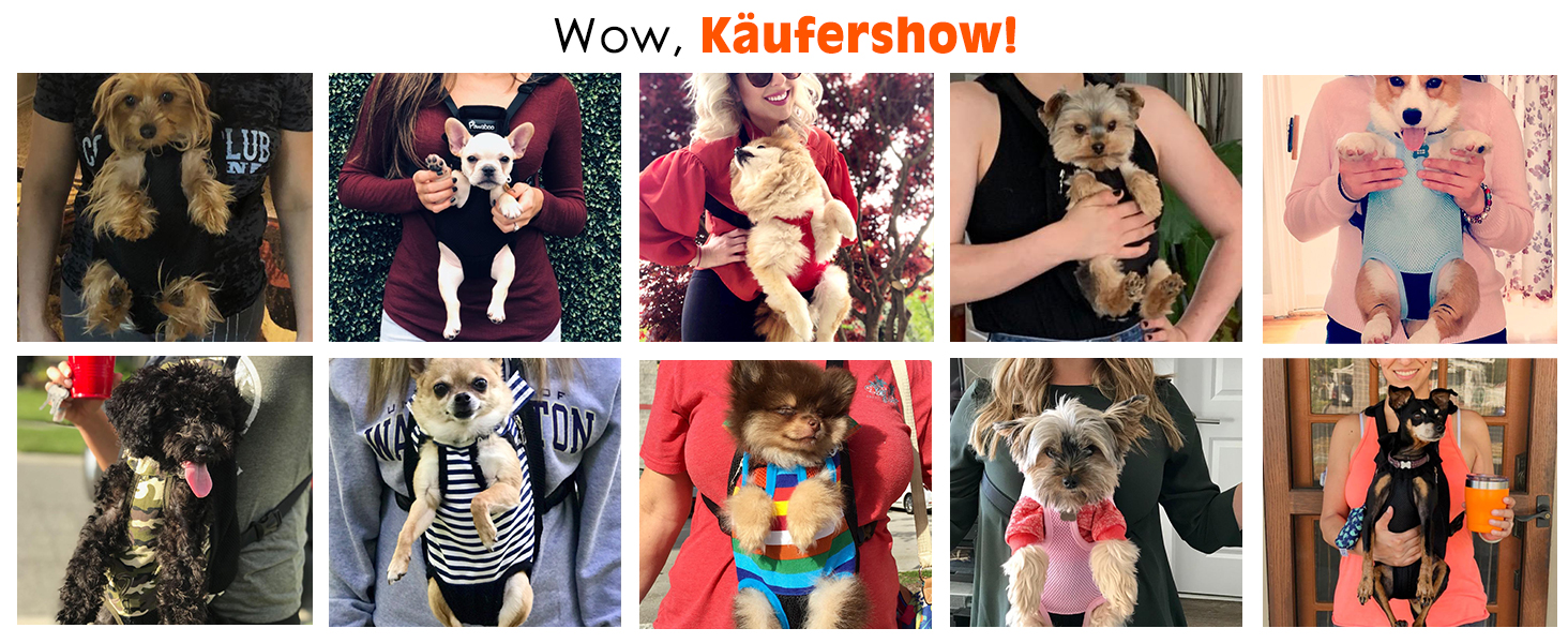 Рюкзак для собак та котів Pawaboo XL, чорний: зручний, дихаючий, для подорожей