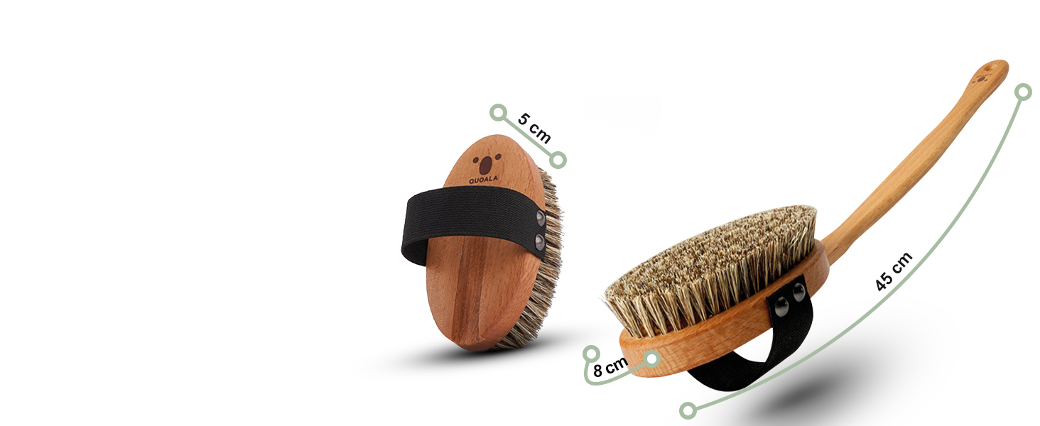 Щітка для тіла QUOALA® Premium з натуральної щетини (сизаль та кінська шерсть) – сертифікована FSC, з довгою ручкою, для сухого та мокрого використання, 100% Made in Germany, середньої жорсткості