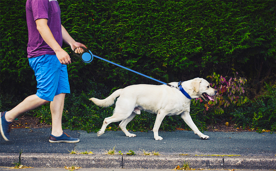 Витяжна повідка для собак середніх та великих порід до 45 кг Taglory, 5 м, блакитний