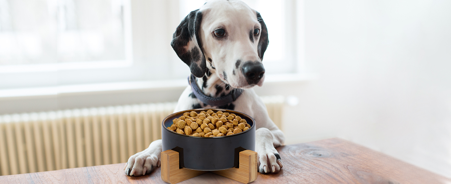 Миска для собак та котів SPUNKYJUNKY з кераміки, велика, 850 мл, піднята на бамбуковому стійці, колір «Зоряне небо»