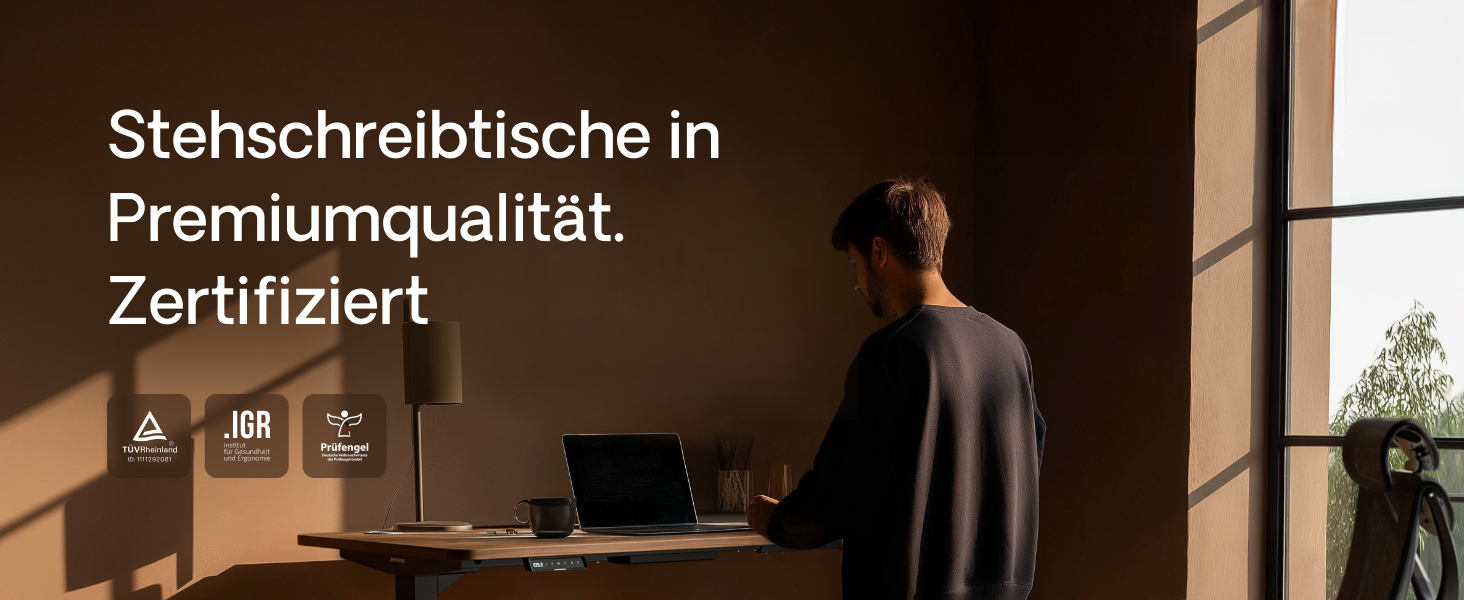 Електричний регульований стіл Desktronic HomePro 160x80 см з двома моторами, сенсорним керуванням та USB-портами (чорний + горіх)