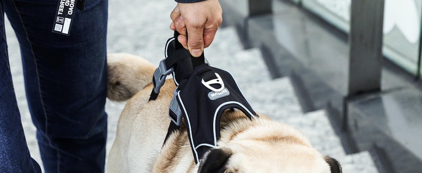 Нашийник для собак з повідком, безпечний нашийник від виривання, анти-тяговий нашийник з ручкою та світловідбиваючими елементами, легкий, регульований нашийник для середніх собак (Чорний, XS). Дуже маленький, чорний