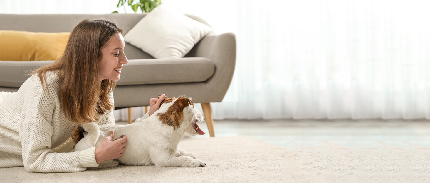 Сходинки для собак Galatée з 4 сходинками, неслизькі, для ліжка/дивану, знімний чохол, губка з високою щільністю, портативні (світло-коричневий)