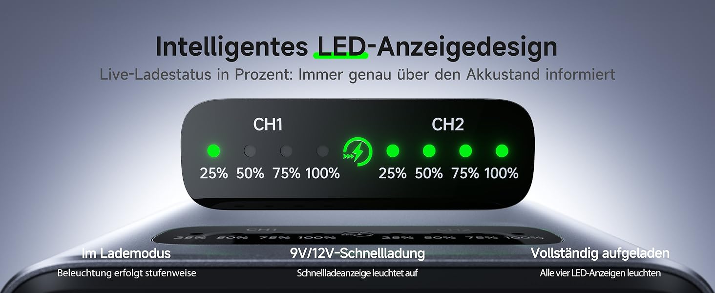 Зарядний пристрій для акумуляторів Canon LP-E6P/LP-E6NH: Dual-Slot, USB-C, LED-дисплей, сумісний з EOS R5/R6/R7 Mark II, 5D/6D/7D Mark II/III/IV, 60D/70D/80D/90D