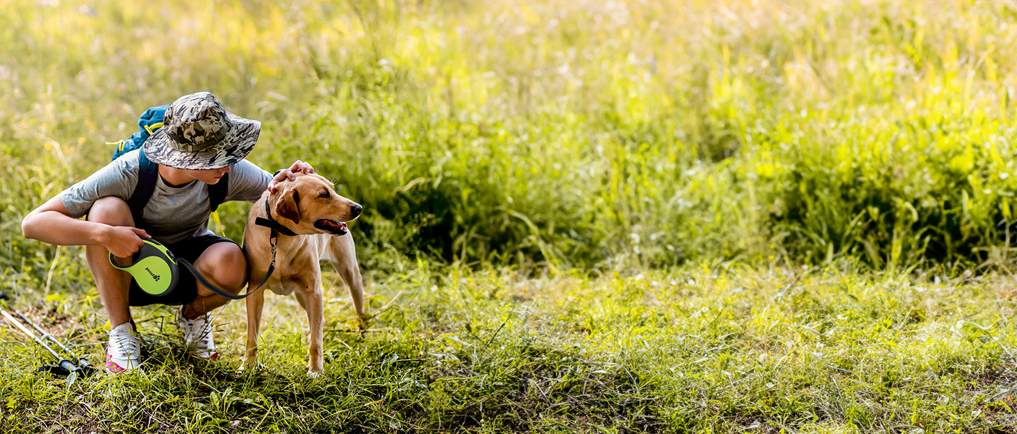 Рулетка для собак Pecute 8м, 50 кг, зелена, антизаплутування, швидке гальмування