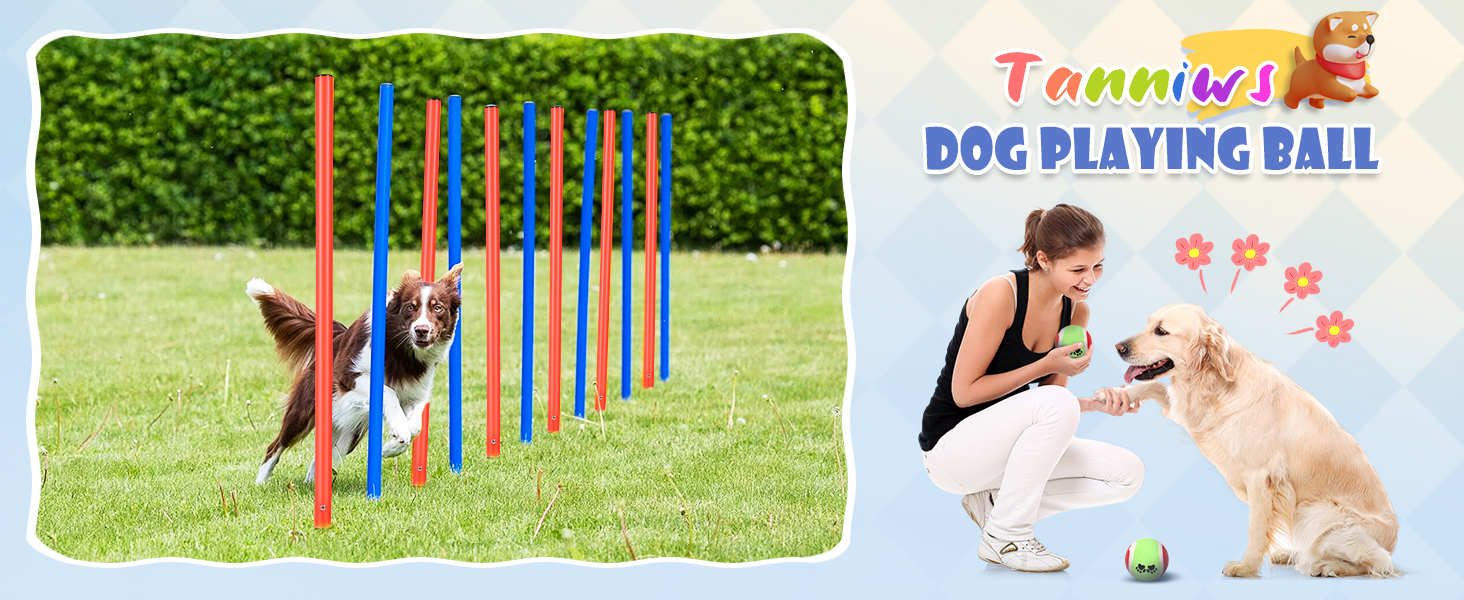 Набір для аджиліті для собак 70 елементів: 8 шлагбаумів, стрибкова петля, м'яч, ящик для перерви, сумка для ласощів, переносна сумка. Розвиває інтелект.