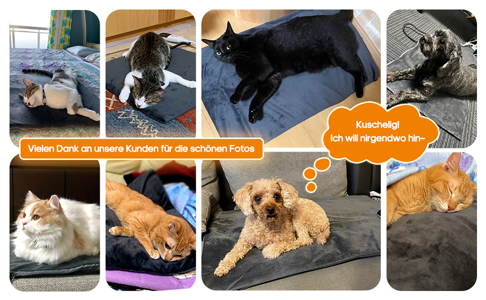 Електричний нагрівальний килимок Angelpet для собак та котів, 45x70 см, 9 температурних режимів, таймер, бісостійкий кабель, 2 знімні чохли