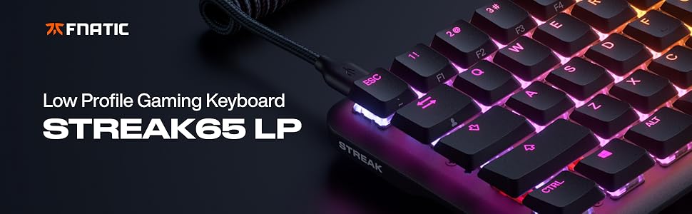 Механічна ігрова клавіатура Fnatic Gear STREAK65 LP з RGB-підсвічуванням, Speed Silver перемикачі, компактний формат 65%, QWERTZ (DE)