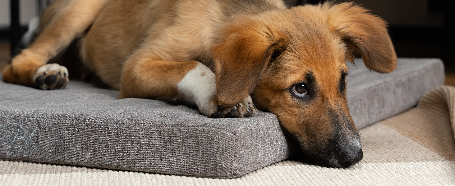 TrendPet VitaMedog: ортопедичний килимок-матрац для собак 130x90 см з пральним покриттям