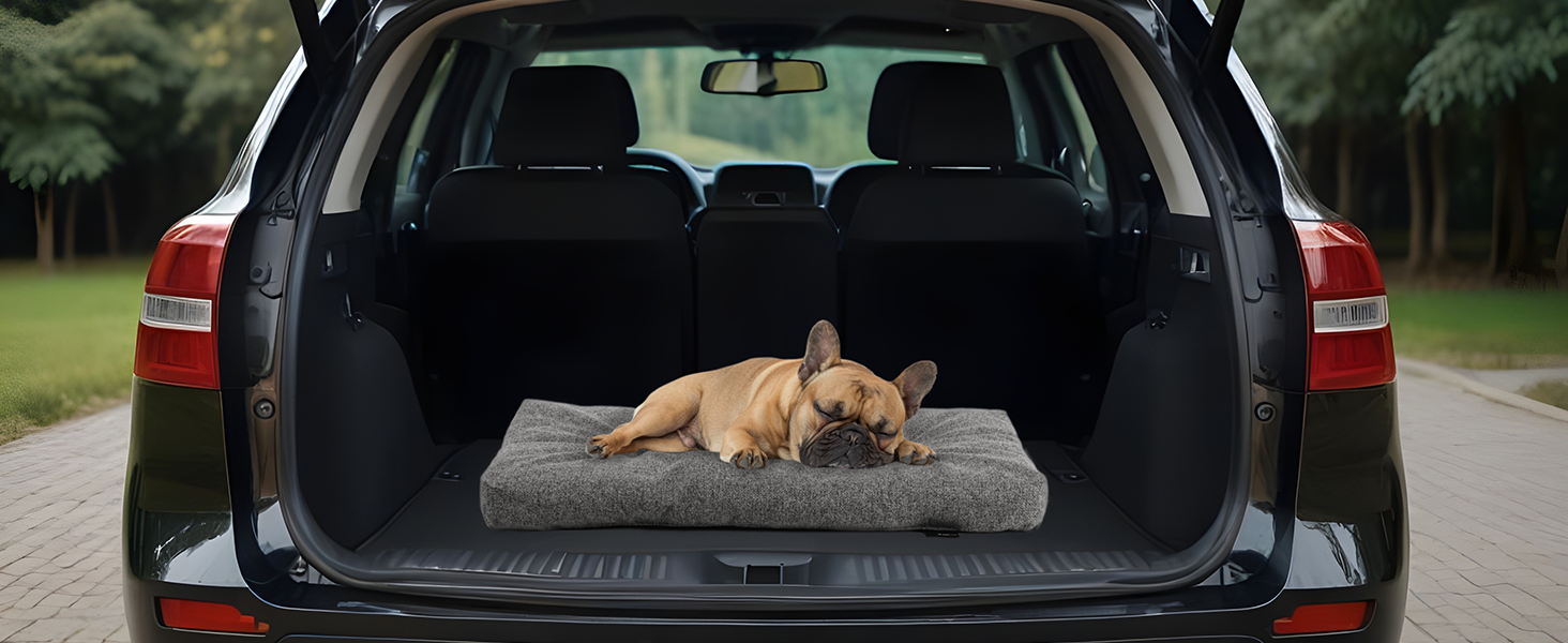 Лежанка для собак Rohrschneider з мискою, 50x80x7 см, бірюзовий | Лежанка для собак та котів, антиковзаюча, міцна, Made in EU