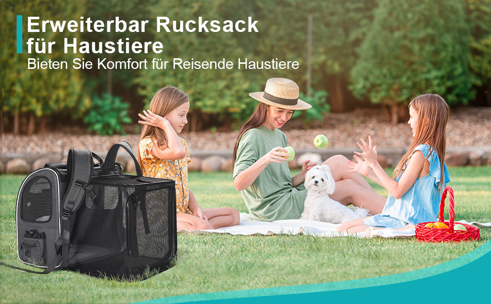 Рюкзак для кота та маленького собаки Morpilot, 7 кг, сірий, 35x30x42 см, з безпечною лінійкою та мискою