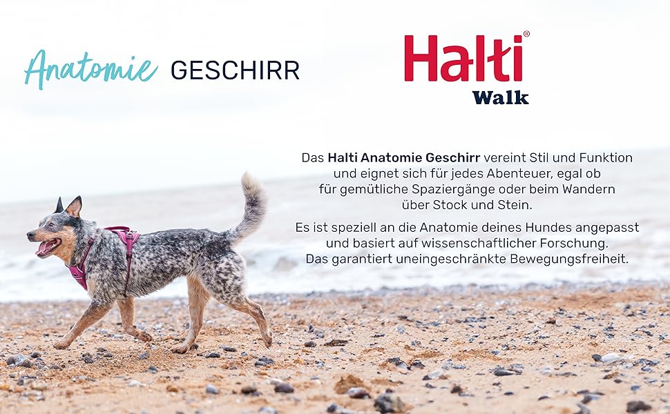 Шлея для собак HALTI Anatomy з ручкою, нейлонова, регульована, з неопреною підкладкою, 3 точки кріплення повідка, відбивачі, синьо-зелена, розмір L