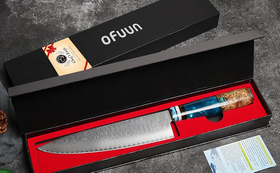 Професійний кухонний ніж oFuun, ніж для шеф-кухаря Damast, 20 см, 67 шарів, ергономічна ручка (ніж Guyto + Schälmesser)