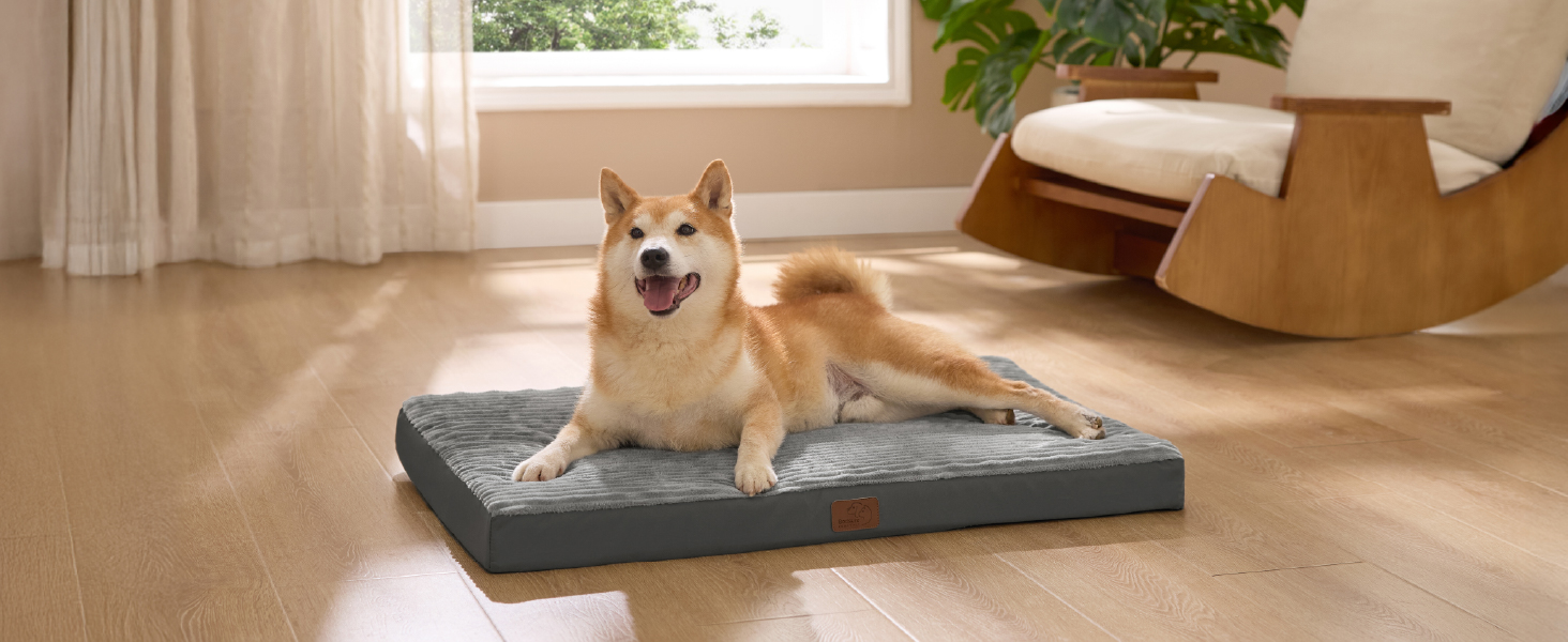 Крісло-ліжко для собак середніх порід BEDSURE - 89x56x7 см. Комфортне килим для собак з антиковзною основою та знімним, пральним чохлом. Матрац для собак з піною 