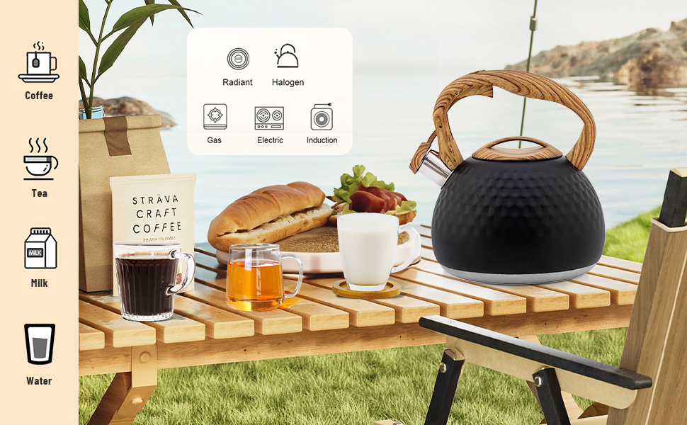 Чайник-свисток Teekessel з нержавіючої сталі, для всіх типів плит