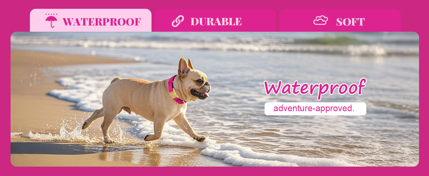 Нашийник для собак Didog з нейлону, м'який, з металевою застібкою, для великих, середніх собак, чорний, L (38-58 см)