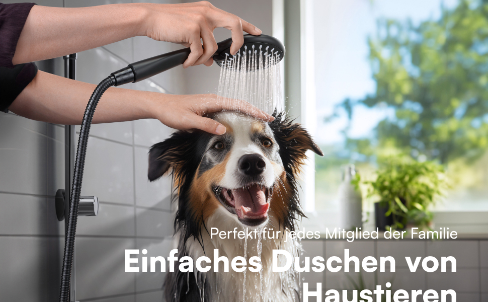 Насадка для душу H&S з високим тиском води - душова лійка з 5 режимами, хром, чорний