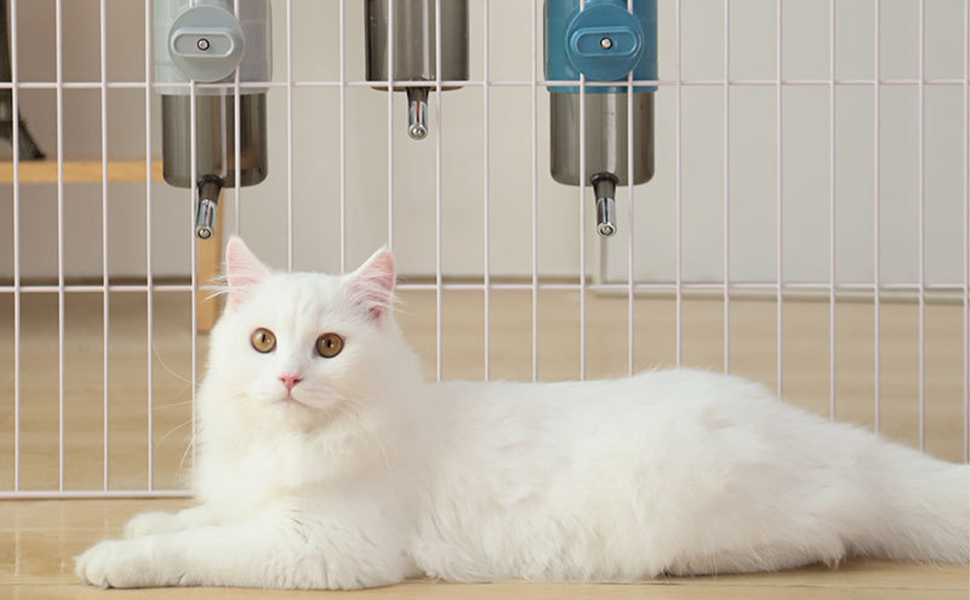 Водяна пляшка для собак [Сірий, 500 мл] - Водяний диспенсер для домашніх тварин, не протікає. Підходить для собак, котів, кроликів, клітки. Об'єм 500 мл, сірий колір