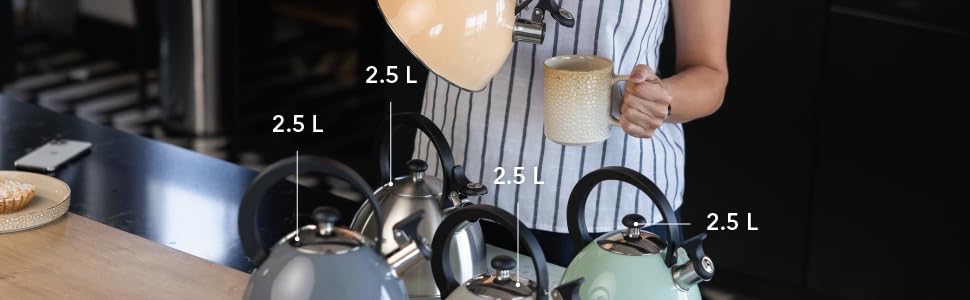 Чайник FLORINA Brillo з нержавіючої сталі (2,5 л) | Чайник-свисток для плити (індукційна, газова, електрична) | Сріблястий | Зручна ручка з бакеліту