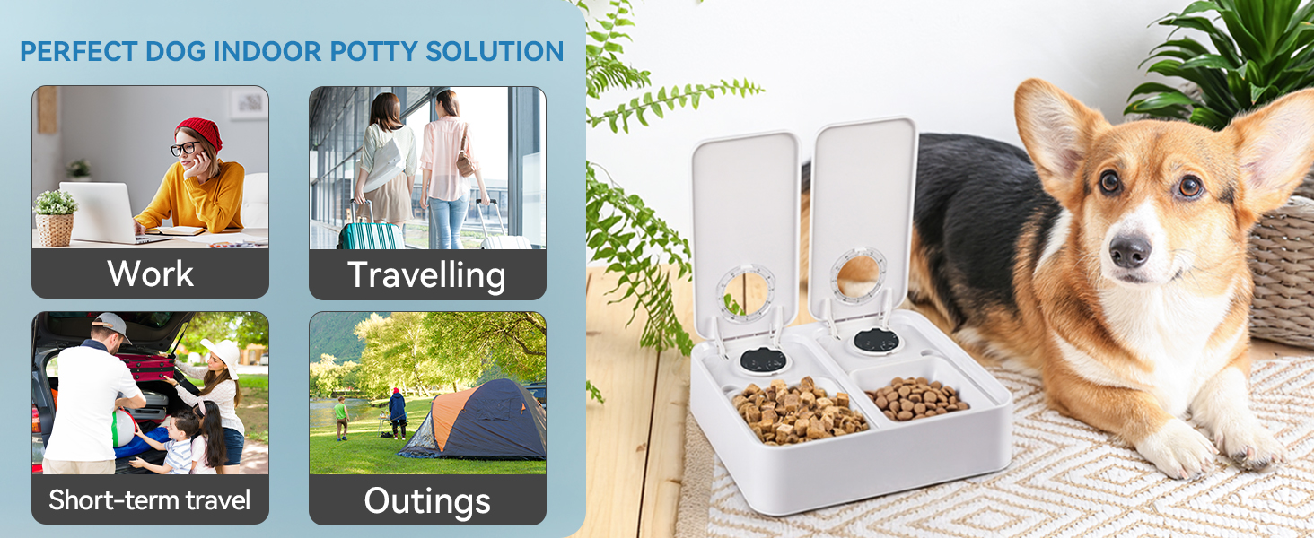 Автоматичний диспенсер для котячого та собачого корму ALL FOR PAWS: таймер, миється, для сухого та вологого корму