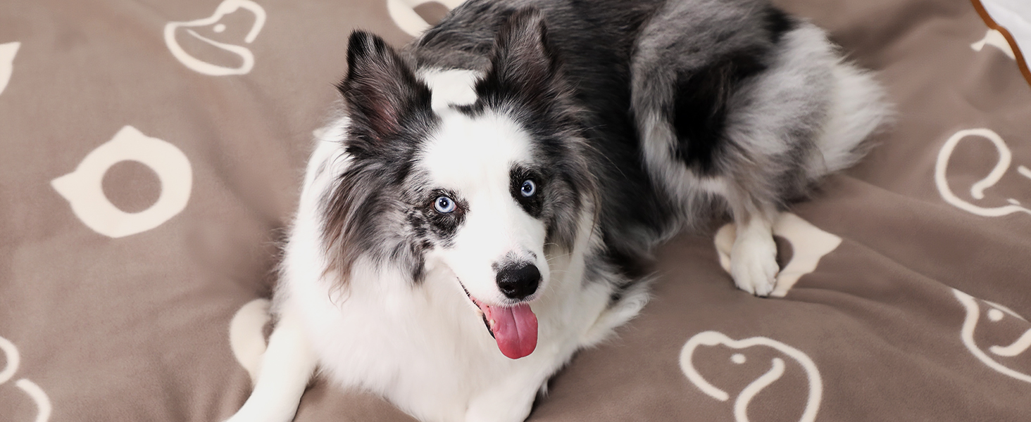 Водонепроникний килимок для собак, 152x127 см, фланель та шерпа, для середніх та великих собак, машинне прання - чорний (100x75 см, коричневий)