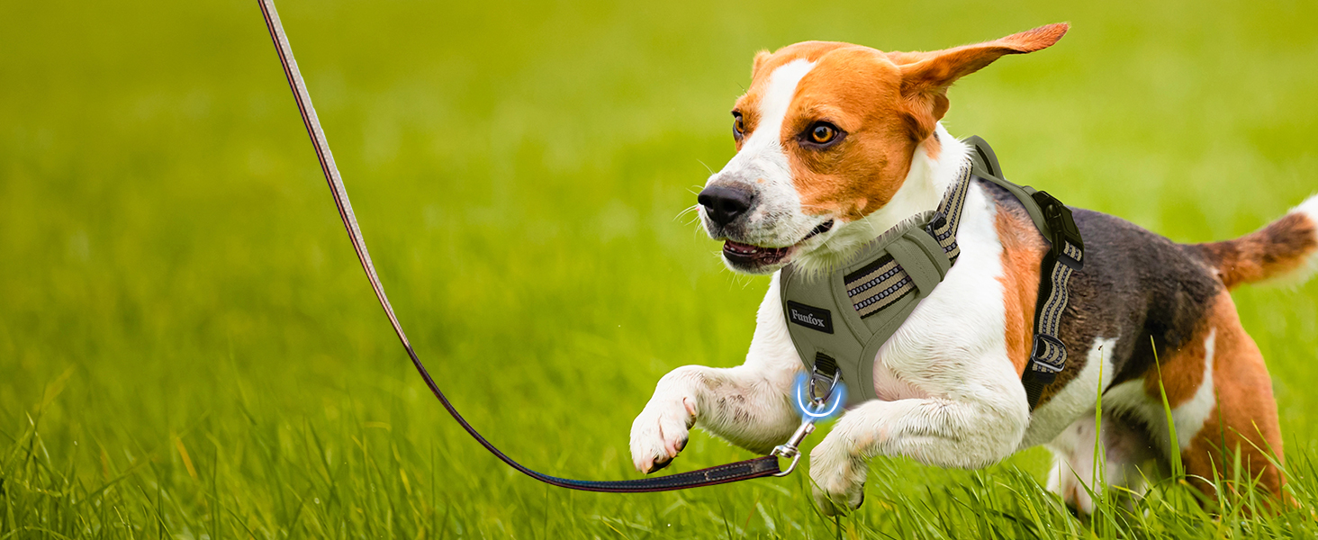 Шлейка для собак середніх порід Funfox, анти-тяга, з ручкою та світловідбиваючими смугами, без коміра, військовий зелений (M)