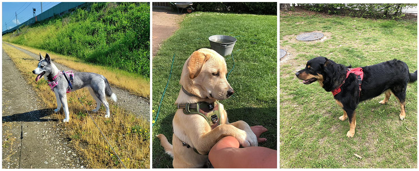 Нашийник для собак великих порід, антинатяг, світловідбиваючий, дихаючий, зручний, безпечний, м'який, зелений, XL, упаковка 1 шт.