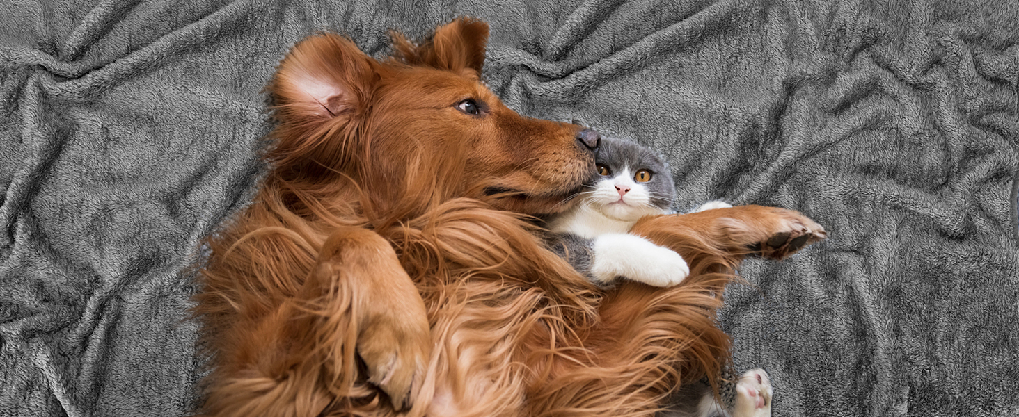 Плед для собак та котів Nobleza: м'який флісовий плед, 100x80 см, 2 шт. (темно-сірий та світло-сірий)