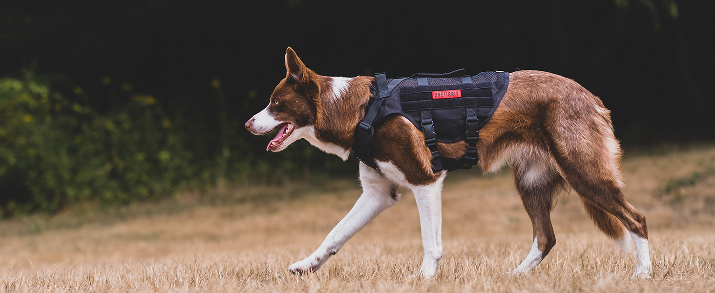 Шлейка для собак OneTigris AIRE MESH, великі породи, тактична, анти-тяга, з 2 ручками, регульована, дихаюча, зелена L (Обіх: 45-63см, Груди: 68-91см)