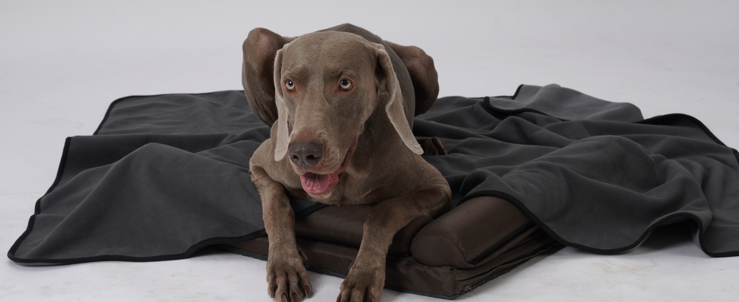 Водонепроникний коврик для собак PETTOM 152x127 см, м'який коврик для великих та маленьких собак, захисний коврик для дивана, ліжка, автокрісла, меблів - прання до 30°C (L, Сірий)