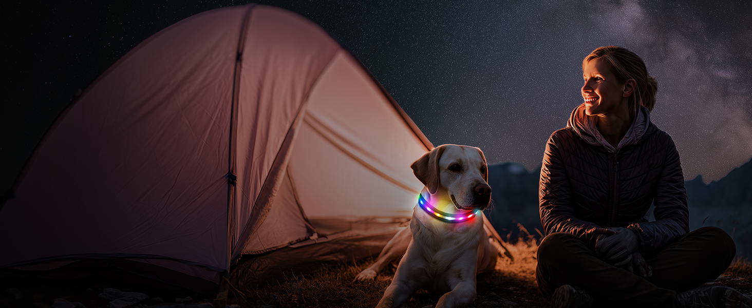 LED-нашийник для собак з підзарядкою USB, вологостійкий, регульований, 3 режими, для малих, середніх та великих собак (Чорний, L(48-60см))