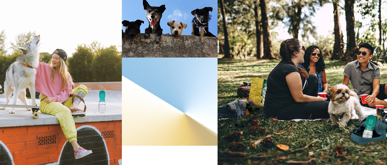 Турботрінка для собак на ходу, 550 мл, BPA-free, витокозахисна, біла