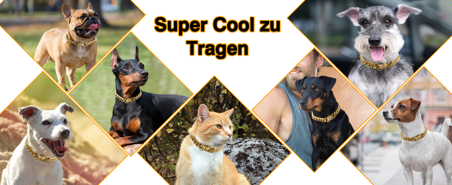 Нашийник для собак Кубинський стиль, нержавіюча сталь, ширина 14 мм, ланцюжок, довжина 26/31/36/41/46/51/56/61 см, золотий, для цуценят, собак маленьких та середніх порід