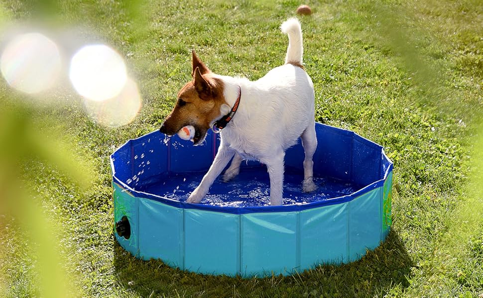 Складаний собачий басейн з неслизьким дном та зливним клапаном, 80 x 20 см