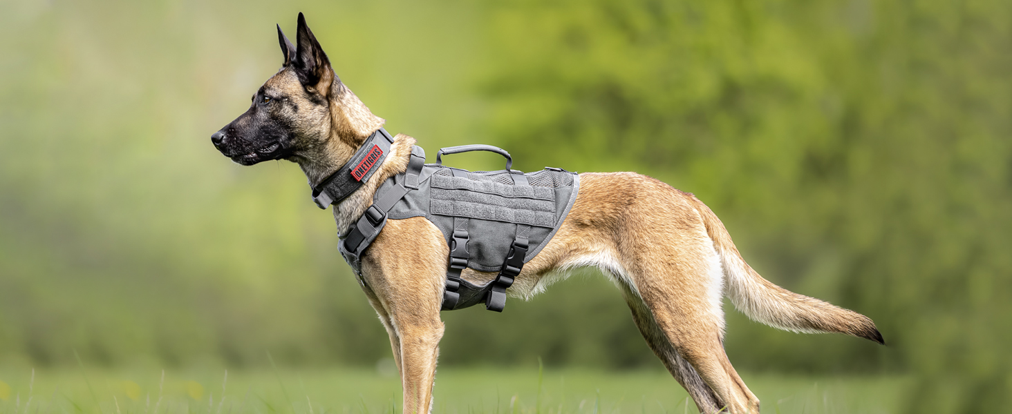 Шлейка для собак OneTigris AIRE MESH, великі породи, тактична, анти-тяга, з 2 ручками, регульована, дихаюча, зелена L (Обіх: 45-63см, Груди: 68-91см)