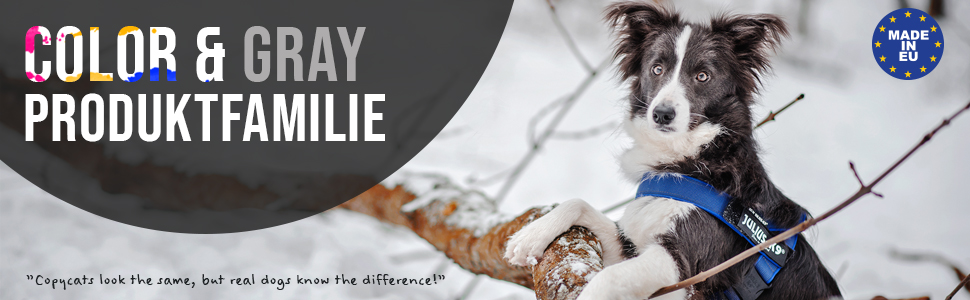 Шлейка Julius-K9 IDC® Color & Gray® чорно-сіра S / Mini